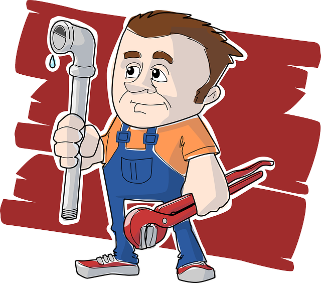 3 règles simples pour choisir un plombier : comment trouver un professionnel ?